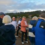 Cambria_0143 (November 04, 2017)